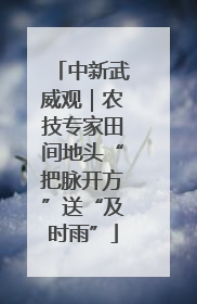 中新武威观｜农技专家田间地头“把脉开方”送“及时雨”