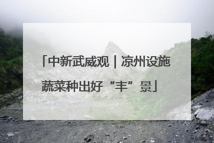 中新武威观｜凉州设施蔬菜种出好“丰”景