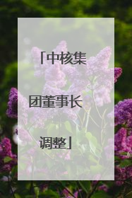 中核集团董事长调整