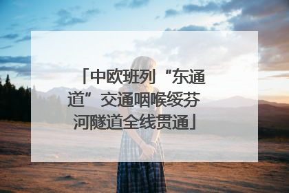 中欧班列“东通道”交通咽喉绥芬河隧道全线贯通