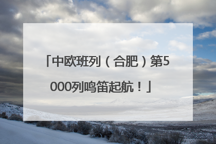 中欧班列（合肥）第5000列鸣笛起航！