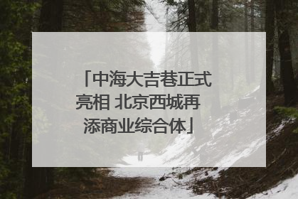 中海大吉巷正式亮相 北京西城再添商业综合体