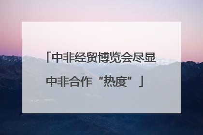 中非经贸博览会尽显中非合作“热度”