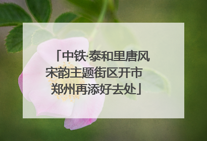 中铁·泰和里唐风宋韵主题街区开市 郑州再添好去处