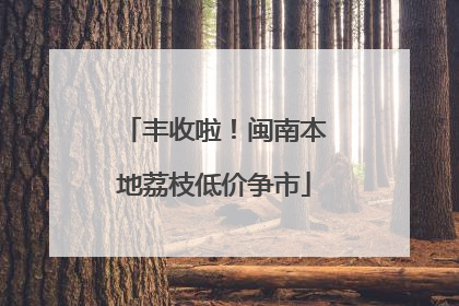 丰收啦！闽南本地荔枝低价争市