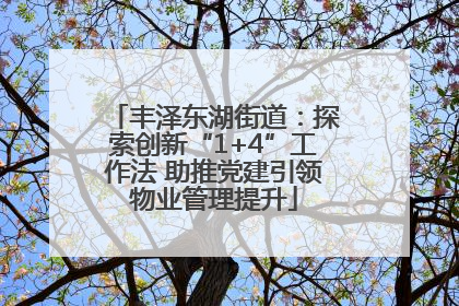 丰泽东湖街道：探索创新“1+4”工作法 助推党建引领物业管理提升