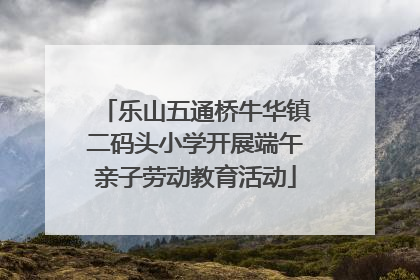 乐山五通桥牛华镇二码头小学开展端午亲子劳动教育活动