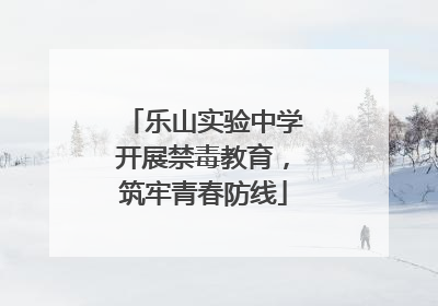乐山实验中学开展禁毒教育，筑牢青春防线