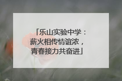 乐山实验中学：薪火相传情谊浓，青春接力共奋进