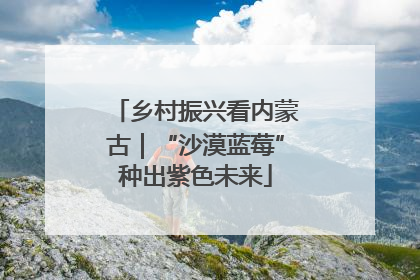 乡村振兴看内蒙古｜“沙漠蓝莓”种出紫色未来