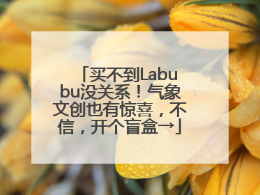 买不到Labubu没关系！气象文创也有惊喜，不信，开个盲盒→