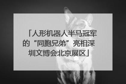 人形机器人半马冠军的“同胞兄弟”亮相深圳文博会北京展区