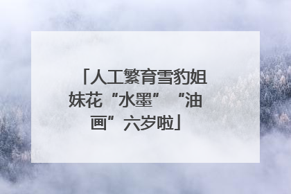 人工繁育雪豹姐妹花“水墨”“油画”六岁啦