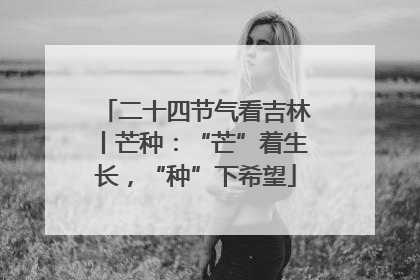 二十四节气看吉林丨芒种：“芒”着生长，“种”下希望
