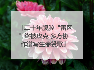 二十年腹腔“雷区”终被攻克 多方协作谱写生命赞歌