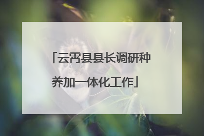 云霄县县长调研种养加一体化工作
