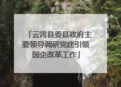 云霄县委县政府主要领导调研党建引领国企改革工作