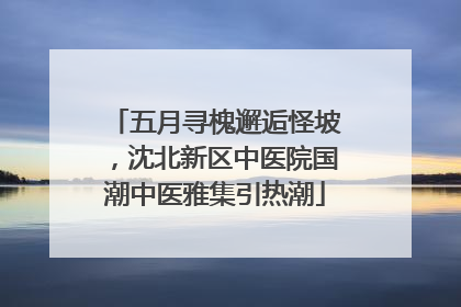 五月寻槐邂逅怪坡，沈北新区中医院国潮中医雅集引热潮