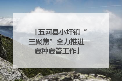 五河县小圩镇“三聚焦”全力推进夏种夏管工作