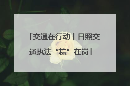 交通在行动丨日照交通执法“粽”在岗