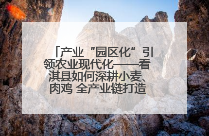 产业“园区化”引领农业现代化——看淇县如何深耕小麦、肉鸡 全产业链打造现代农业产业园