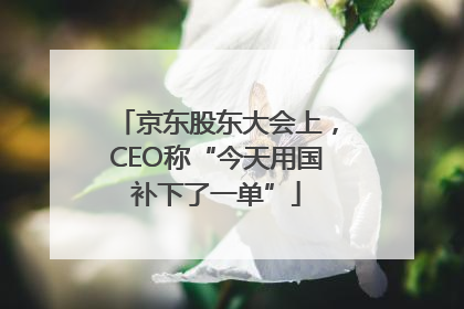 京东股东大会上，CEO称“今天用国补下了一单”