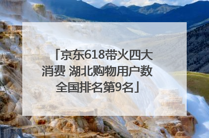 京东618带火四大消费 湖北购物用户数全国排名第9名