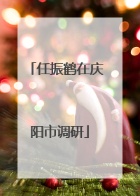 任振鹤在庆阳市调研