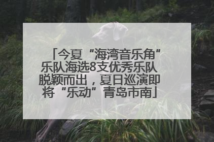 今夏“海湾音乐角”乐队海选8支优秀乐队脱颖而出，夏日巡演即将“乐动”青岛市南