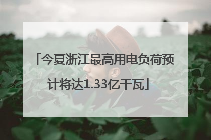 今夏浙江最高用电负荷预计将达1.33亿千瓦