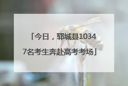 今日，郓城县10347名考生奔赴高考考场