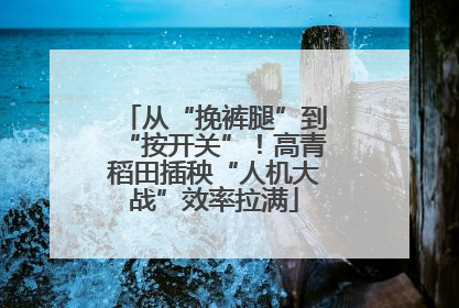 从“挽裤腿”到“按开关”！高青稻田插秧“人机大战”效率拉满