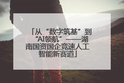 从“数字筑基”到“AI领航”——湖南国资国企竞速人工智能新赛道