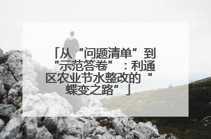 从“问题清单”到“示范答卷”：利通区农业节水整改的“蝶变之路”