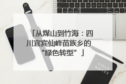 从煤山到竹海：四川宜宾仙峰苗族乡的“绿色转型”
