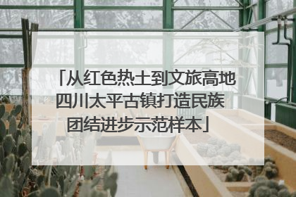 从红色热土到文旅高地 四川太平古镇打造民族团结进步示范样本