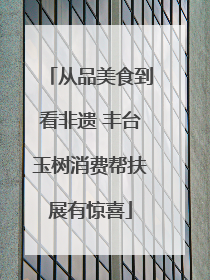 从品美食到看非遗 丰台玉树消费帮扶展有惊喜