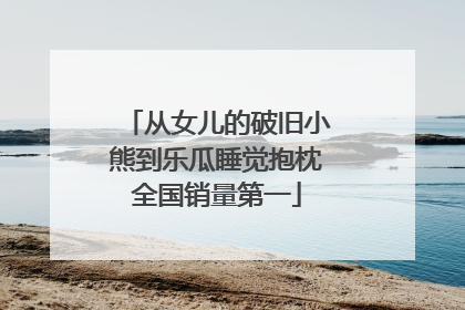 从女儿的破旧小熊到乐瓜睡觉抱枕全国销量第一