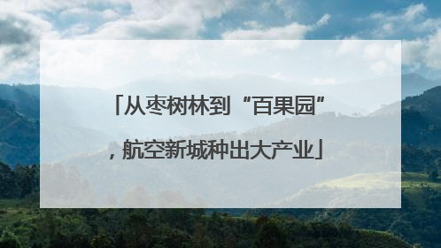从枣树林到“百果园”，航空新城种出大产业
