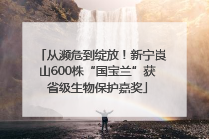 从濒危到绽放！新宁崀山600株“国宝兰”获省级生物保护嘉奖