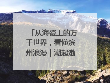从海瓷上的万千世界，看懂滨州浪漫｜潮起渤海・网聚黄蓝