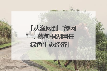 从渔网到“绿网”，蔡甸桐湖网住绿色生态经济