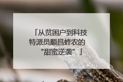 从贫困户到科技特派员顺昌蜂农的“甜蜜逆袭”