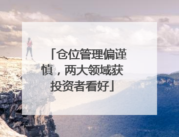 仓位管理偏谨慎，两大领域获投资者看好