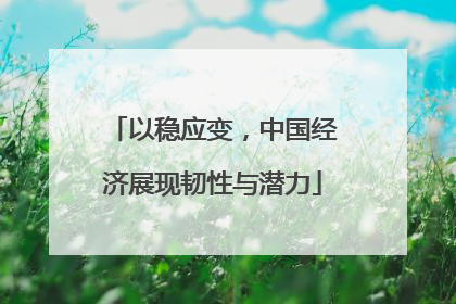 以稳应变，中国经济展现韧性与潜力