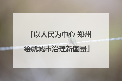 以人民为中心 郑州绘就城市治理新图景
