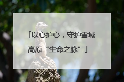 以心护心，守护雪域高原“生命之脉”