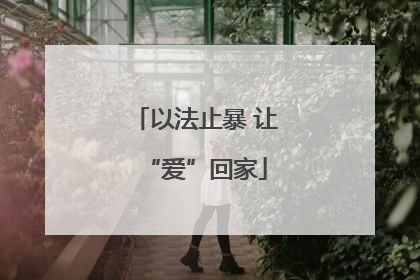 以法止暴 让“爱”回家