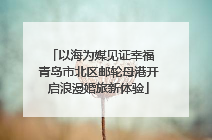 以海为媒见证幸福 青岛市北区邮轮母港开启浪漫婚旅新体验