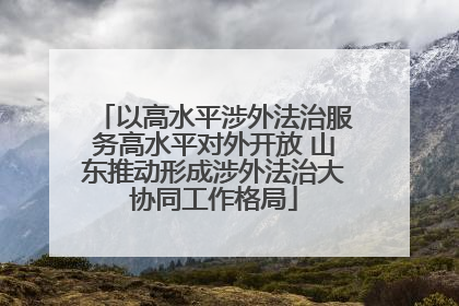 以高水平涉外法治服务高水平对外开放 山东推动形成涉外法治大协同工作格局